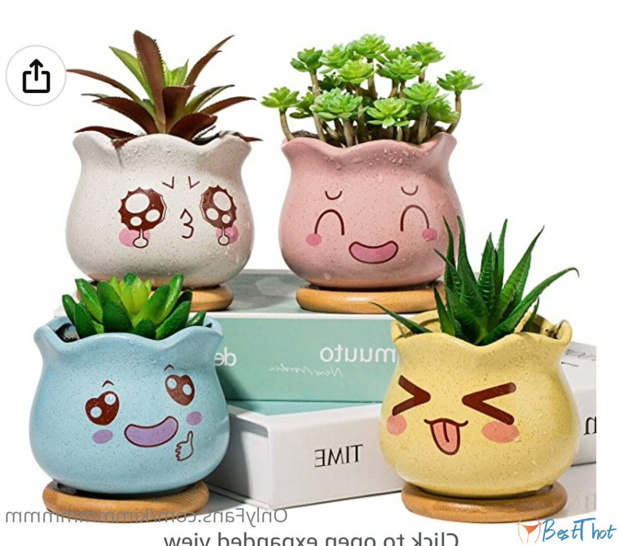 Photo by kimmmmmmm published on December 10,2024 17:14:28 - BestThots