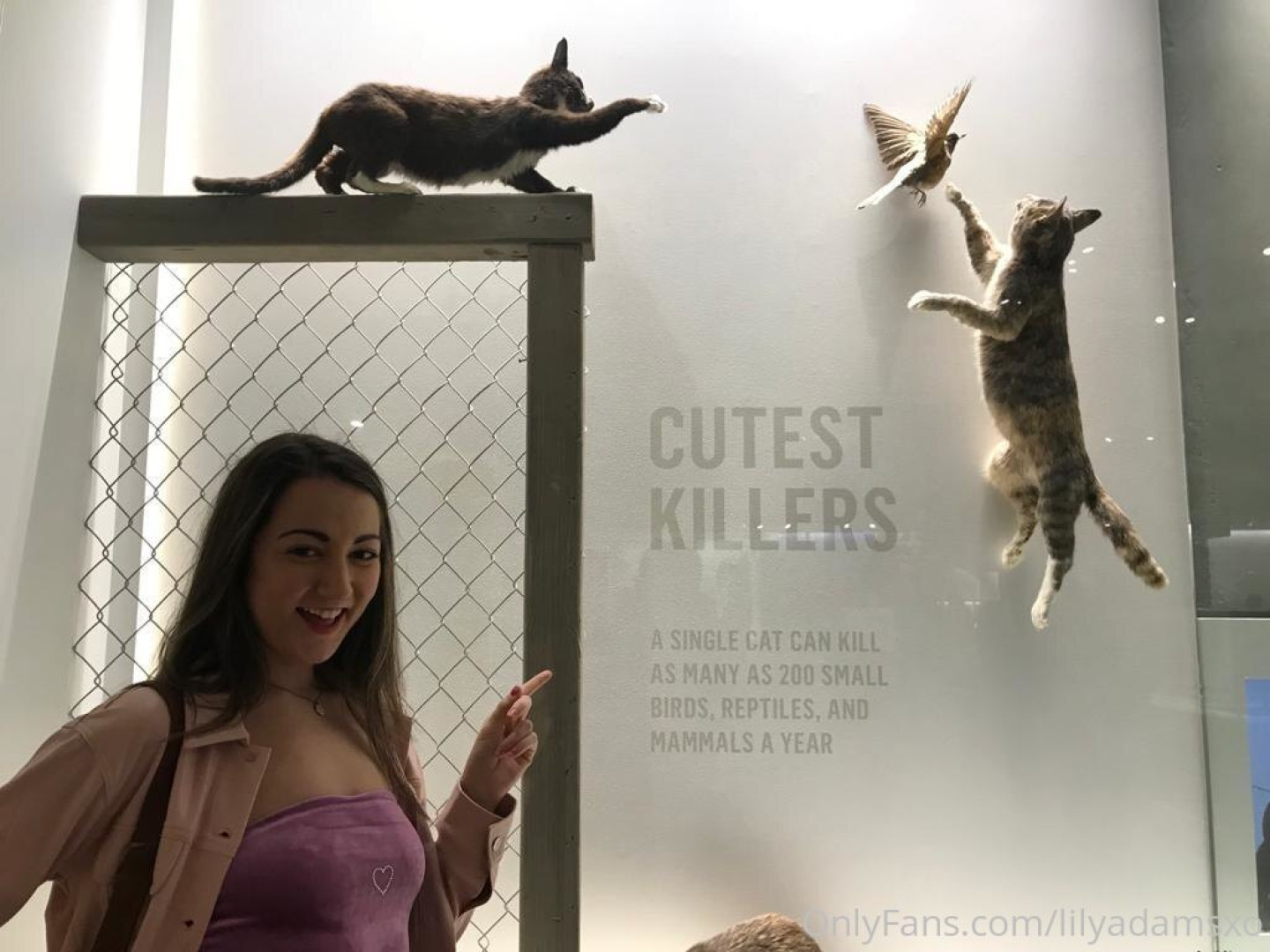Photo by lilyadamsxo published on June 7,2023 20:35:04 - BestThots