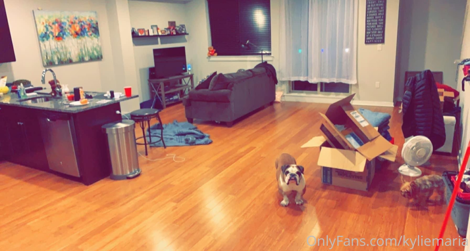 Photo by kyliemaria published on July 29,2023 22:32:52 - BestThots