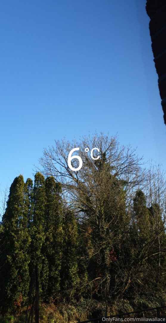 Photo by mw_vip published on October 16,2023 03:59:44 - BestThots