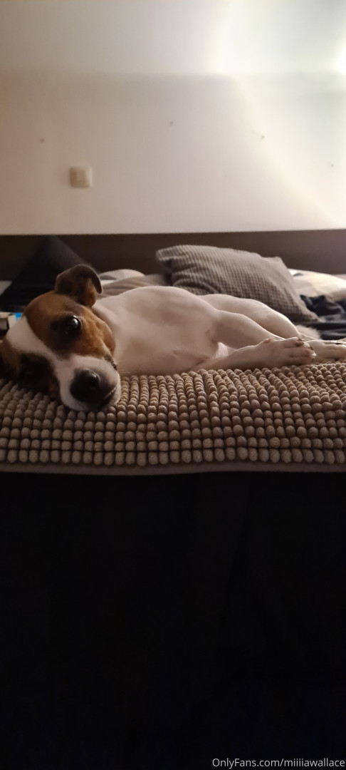 Photo by mw_vip published on October 16,2023 04:00:47 - BestThots