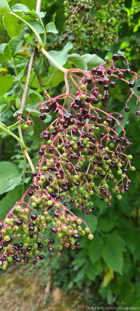 Photo by mw_vip published on October 16,2023 04:12:49 - BestThots