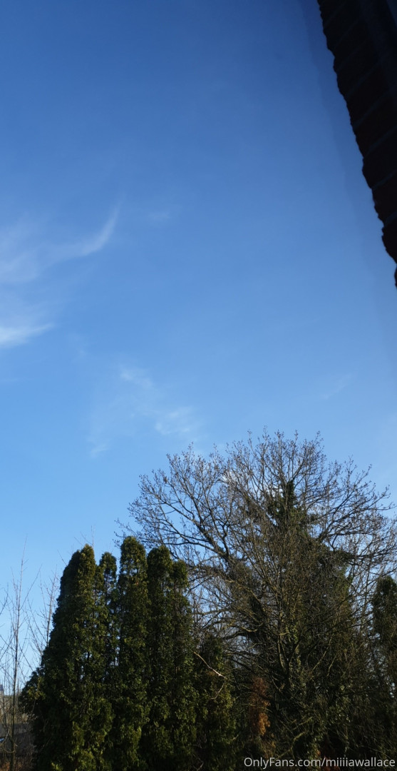 Photo by mw_vip published on October 16,2023 04:12:57 - BestThots