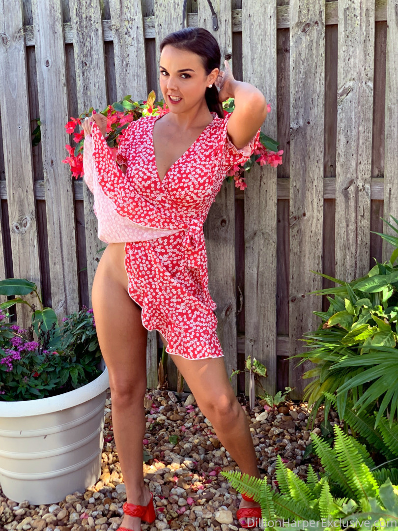 Photo by dillionharper published on January 16,2024 19:58:36 - BestThots