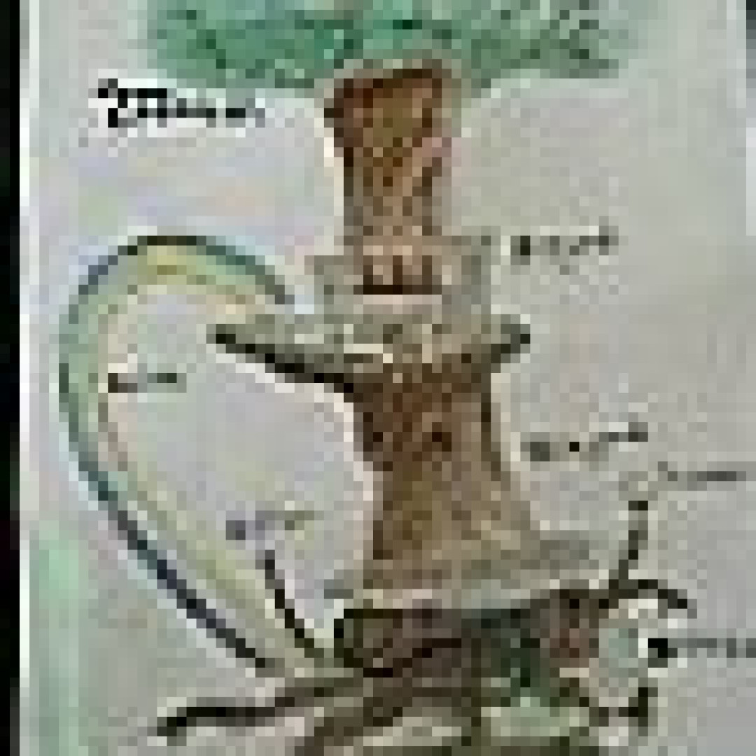 Photo by sylvanusxxx published on May 17,2023 09:51:57 - BestThots