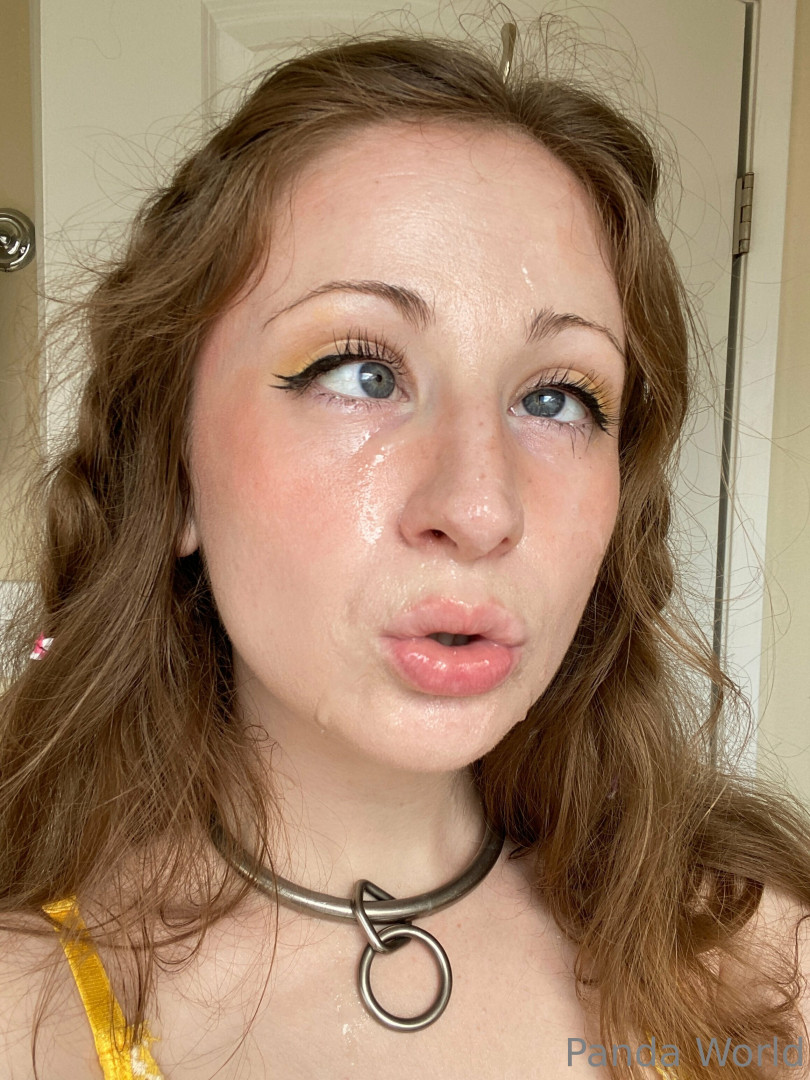 Photo by pandaworld published on June 25,2023 17:26:23 - BestThots