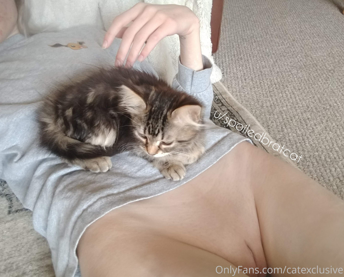 Photo by catexclusive published on January 10,2024 02:20:20 - BestThots