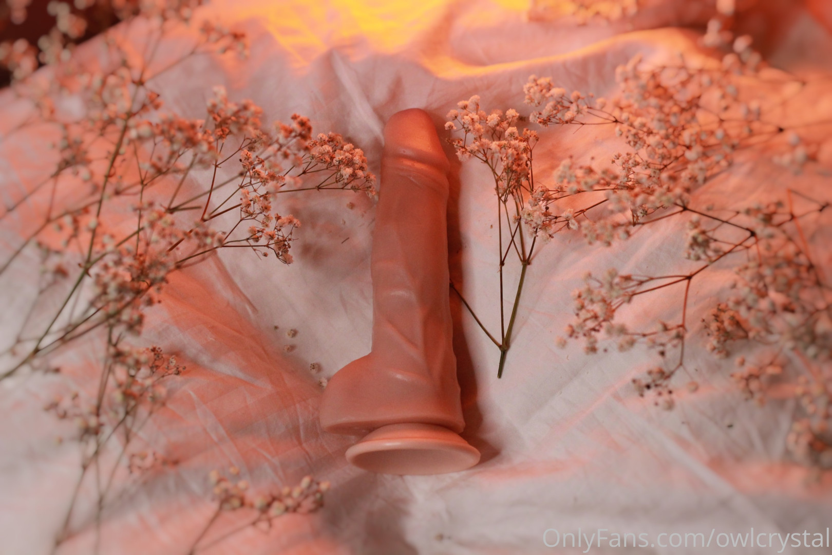 Photo by owlcrystal published on June 15,2023 08:28:17 - BestThots