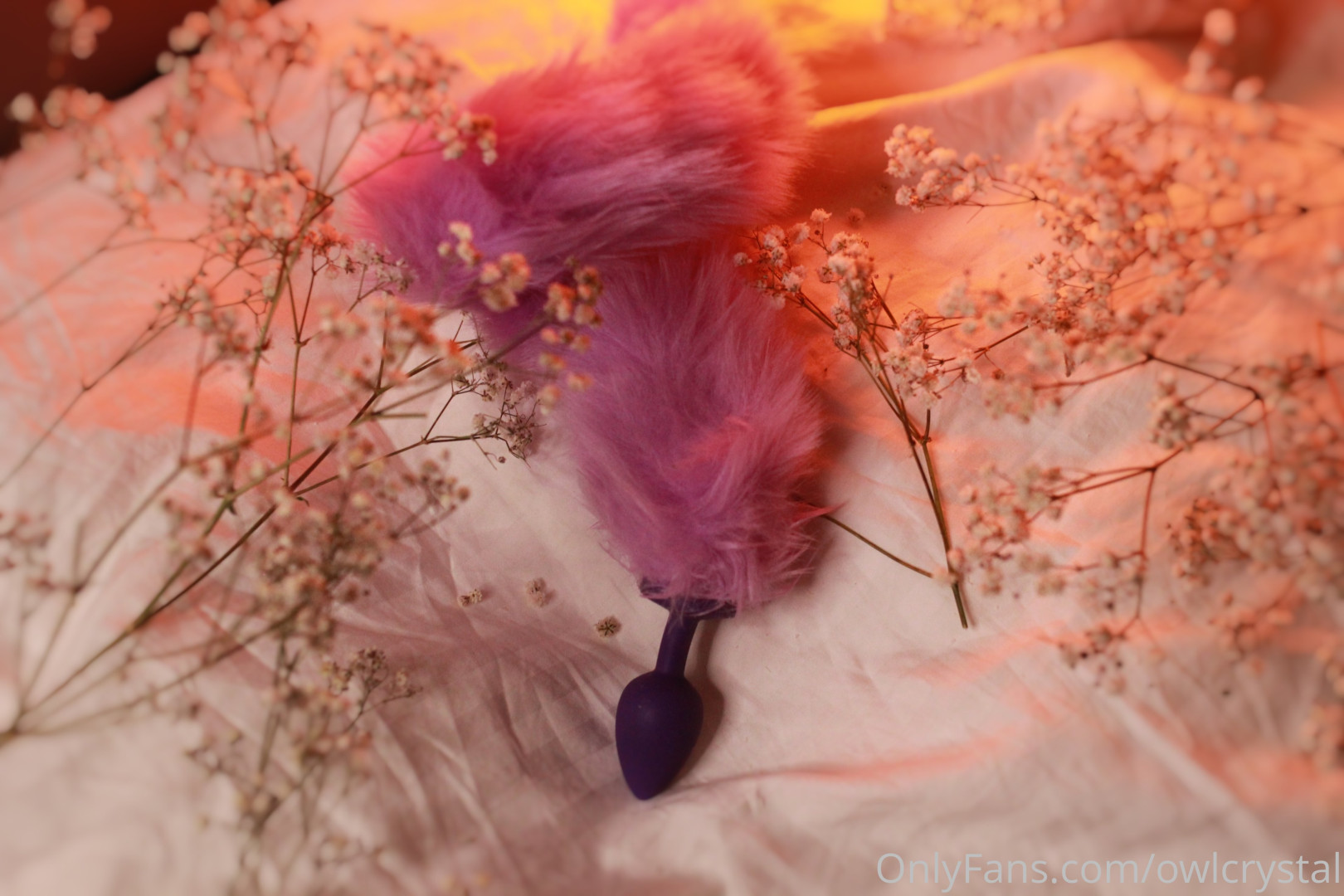 Photo by owlcrystal published on June 15,2023 08:34:24 - BestThots
