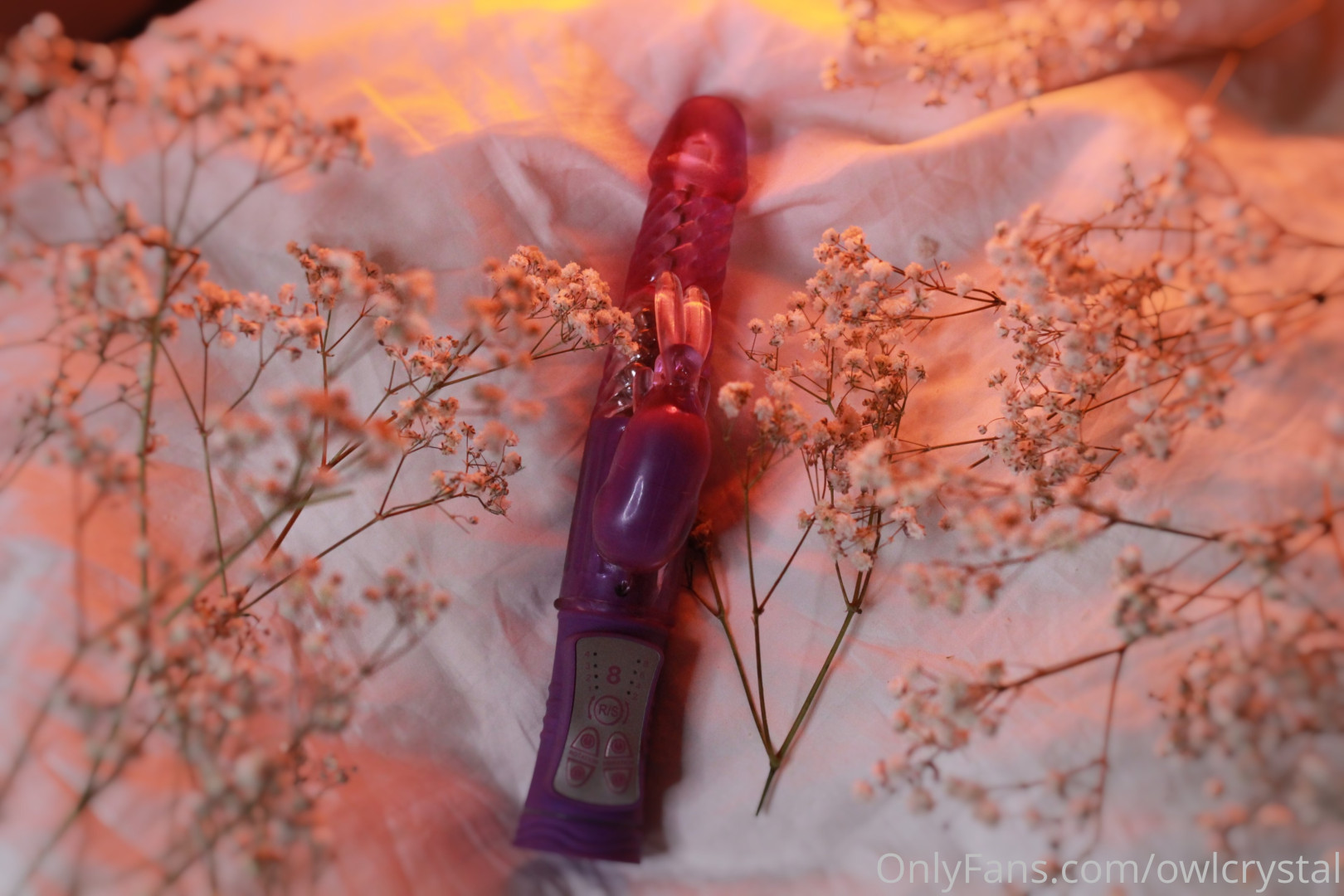 Photo by owlcrystal published on June 15,2023 08:37:45 - BestThots