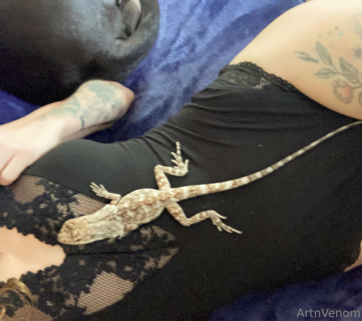 Photo by artnvenom published on June 24,2023 07:22:16 - BestThots