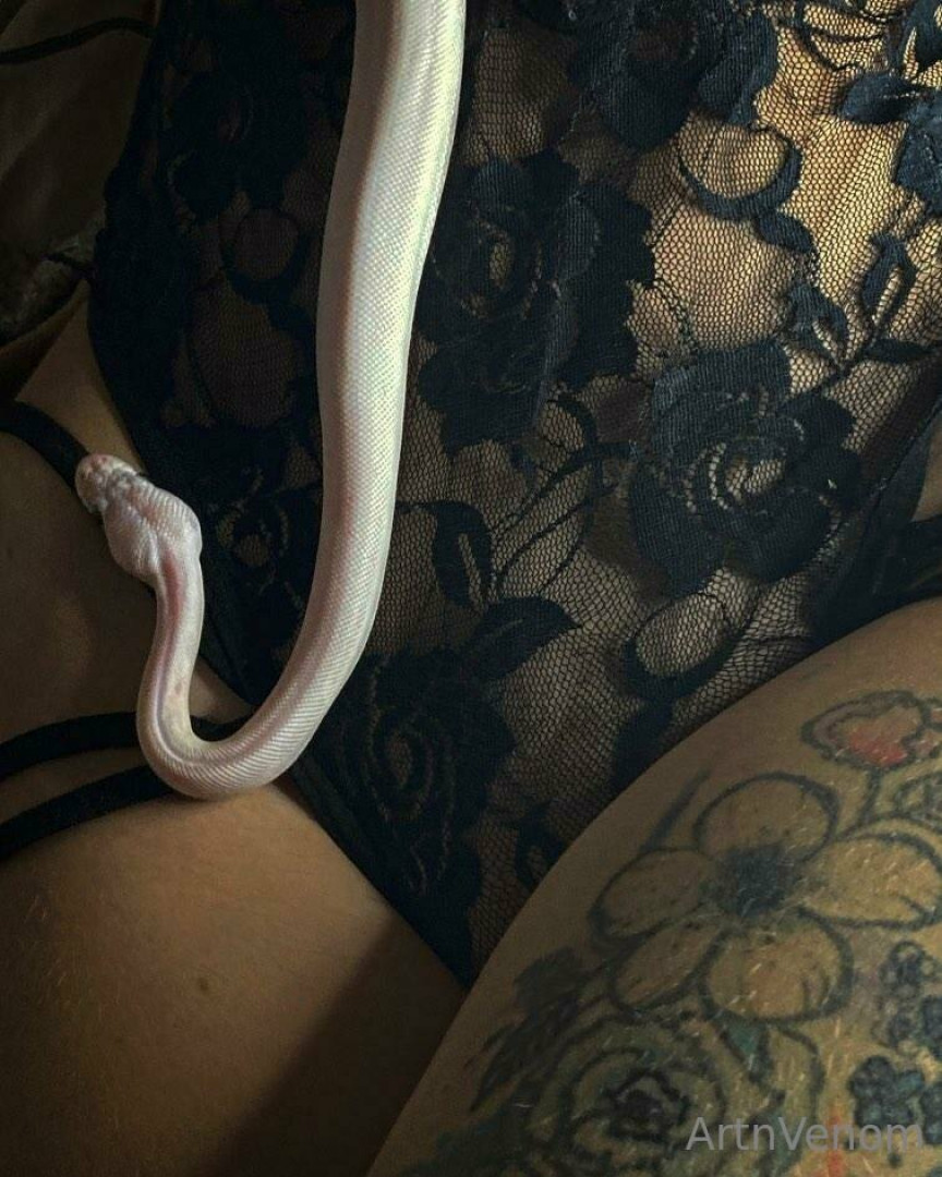 Photo by artnvenom published on November 24,2023 03:27:46 - BestThots