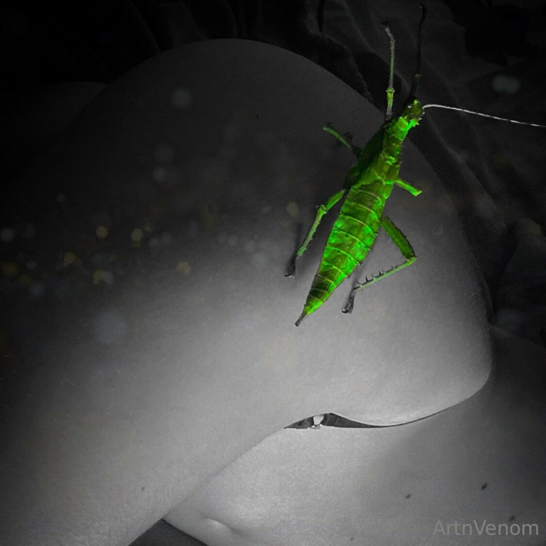 Photo by artnvenom published on November 24,2023 03:27:48 - BestThots