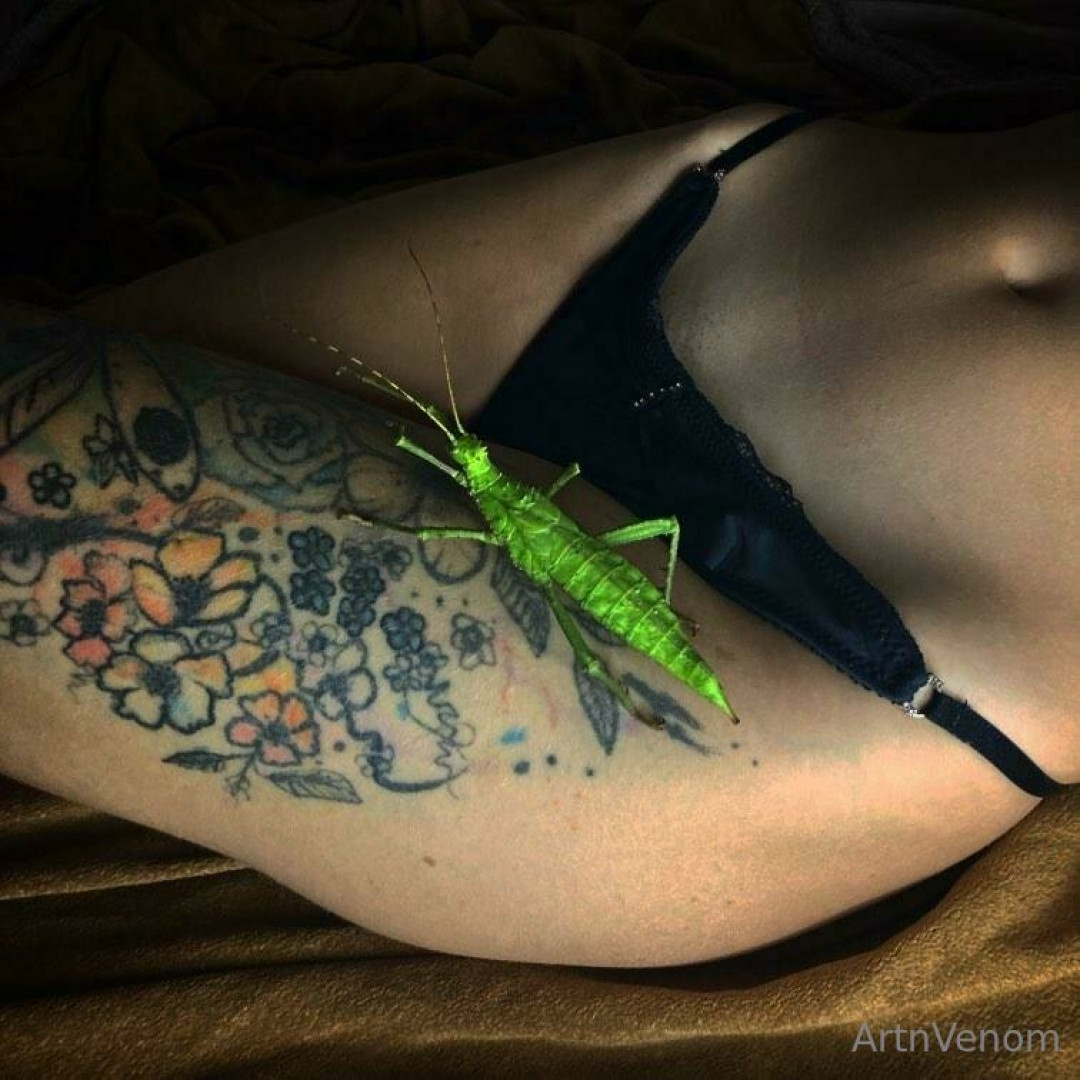 Photo by artnvenom published on November 24,2023 03:27:48 - BestThots