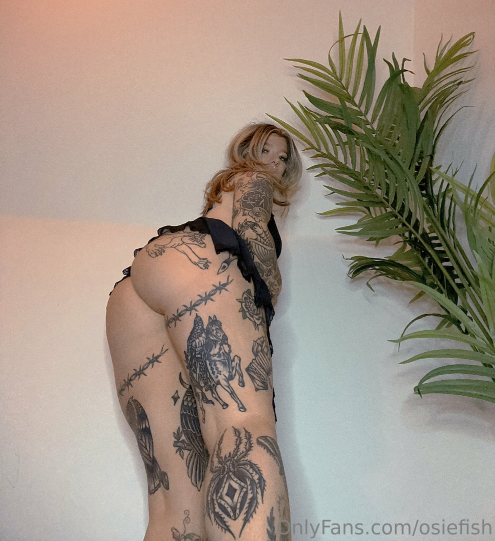 Photo by osiefish published on June 1,2023 15:00:09 - BestThots