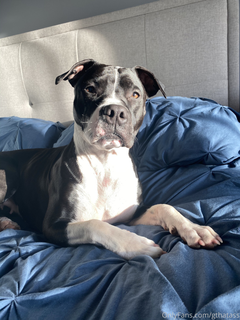 Photo by gthatass published on June 9,2023 10:23:07 - BestThots