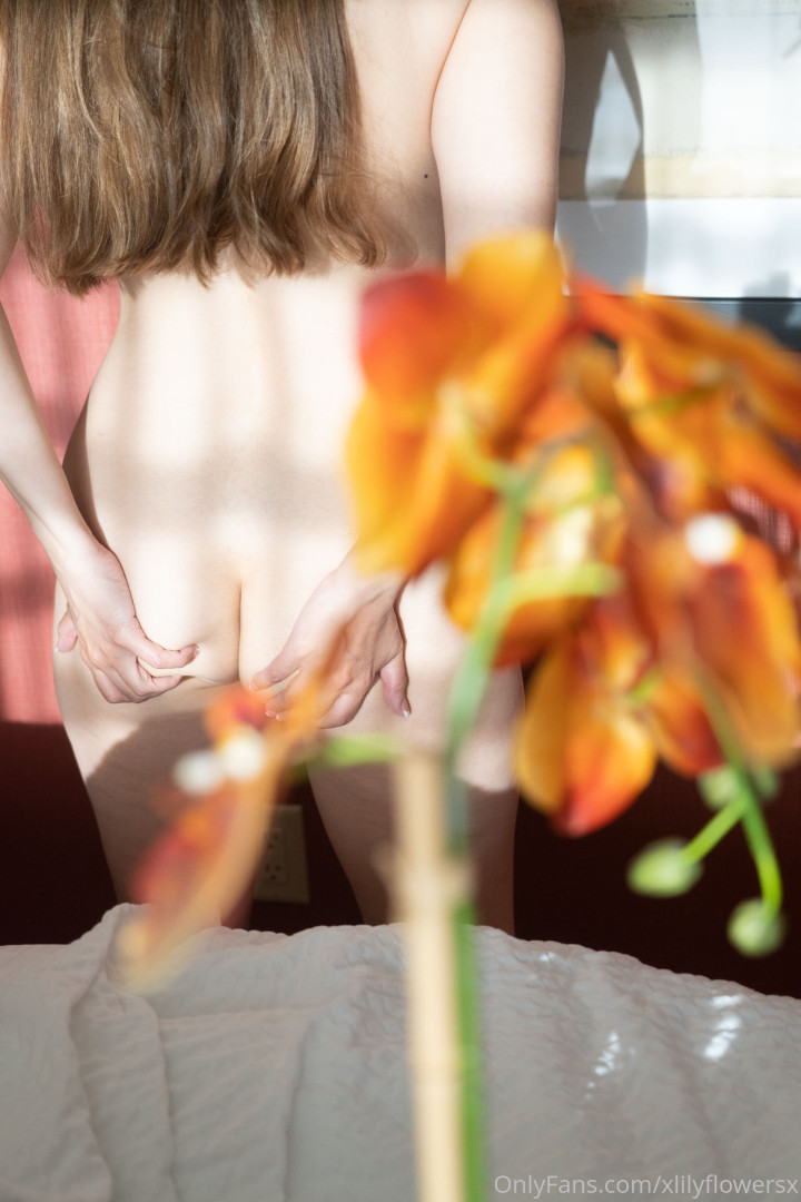 Photo by xlilyflowersx published on May 15,2023 22:49:02 - BestThots