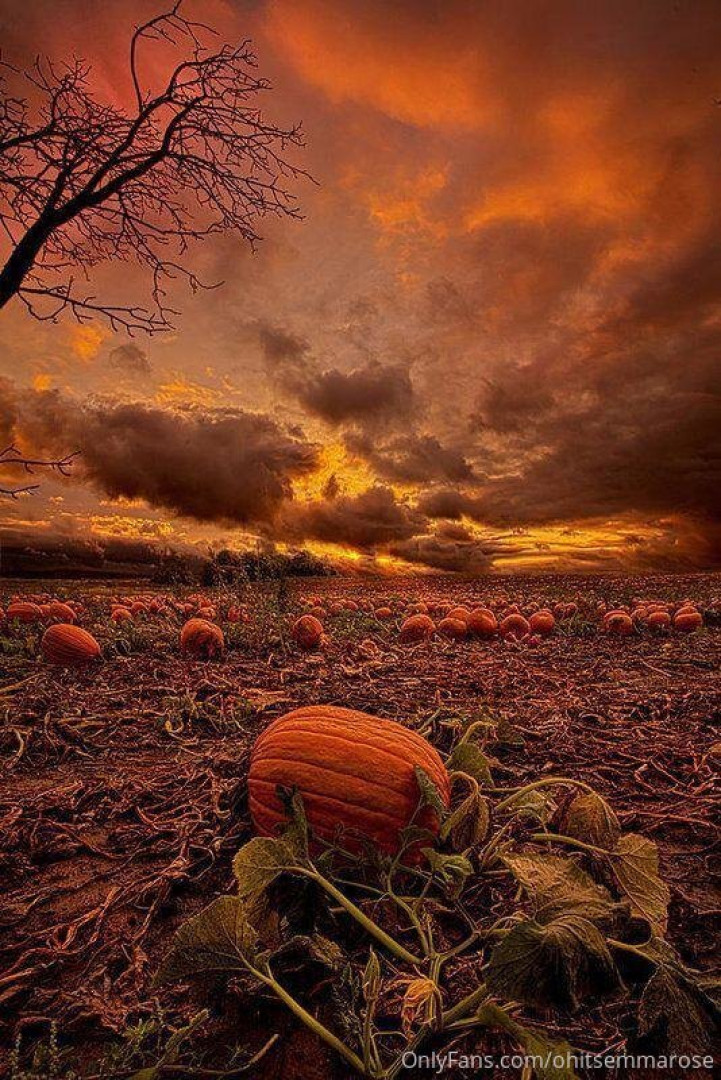 Photo by ohitsemmarose published on August 1,2023 07:55:06 - BestThots