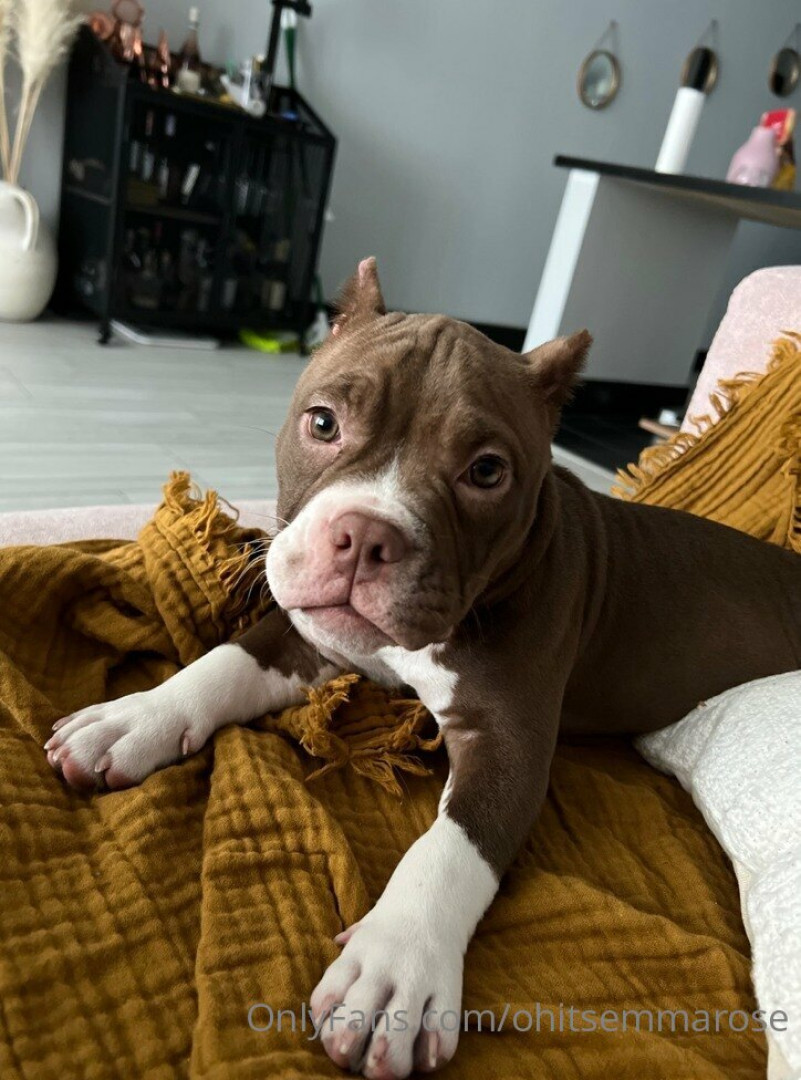 Photo by ohitsemmarose published on August 1,2023 07:57:58 - BestThots