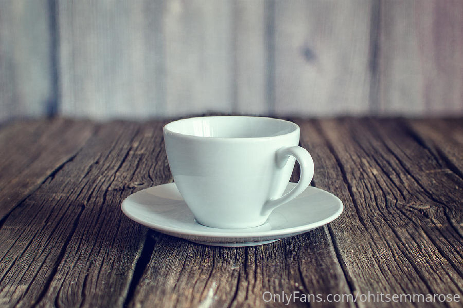 Photo by ohitsemmarose published on August 1,2023 08:01:20 - BestThots