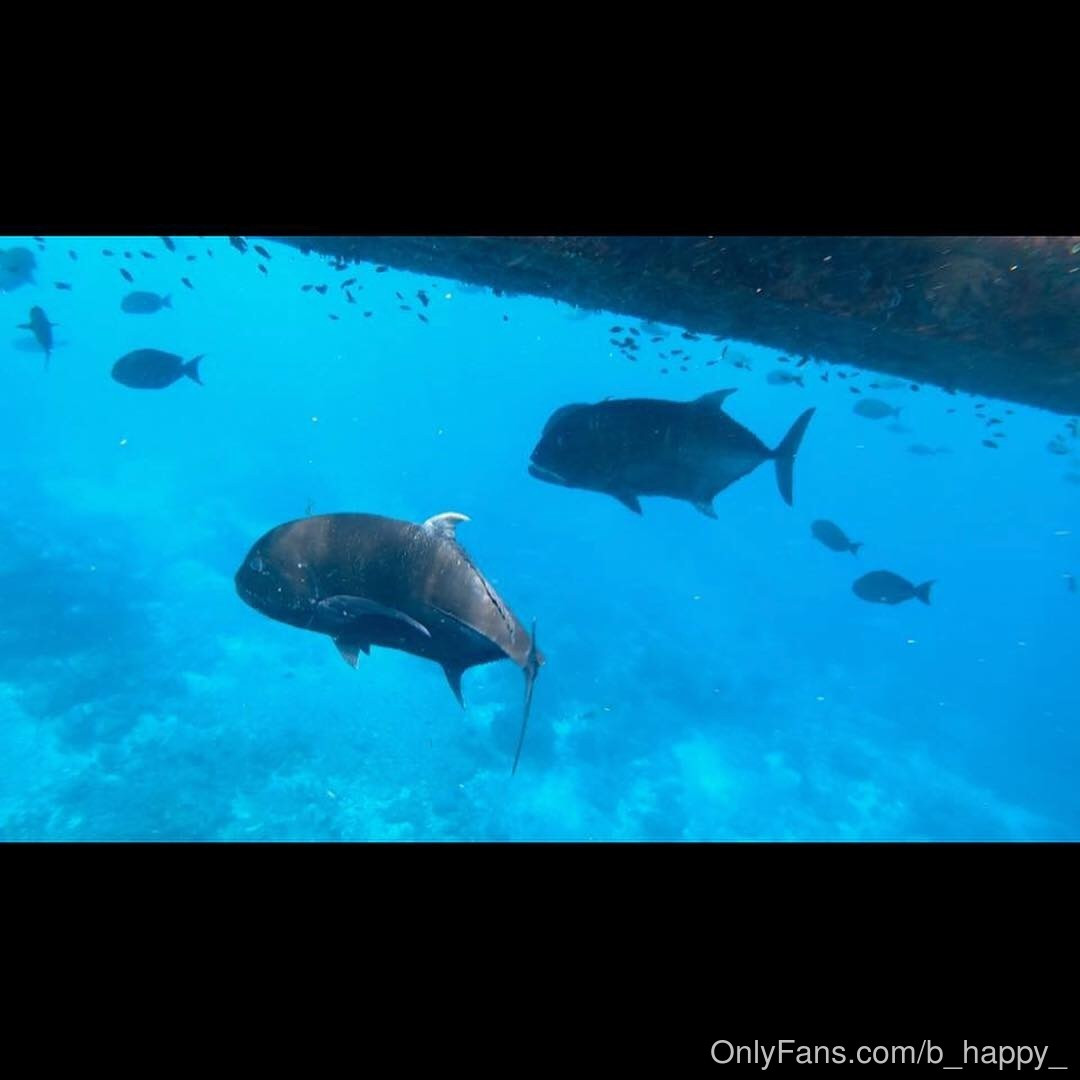 Photo by b_happy_ published on October 16,2023 15:58:53 - BestThots