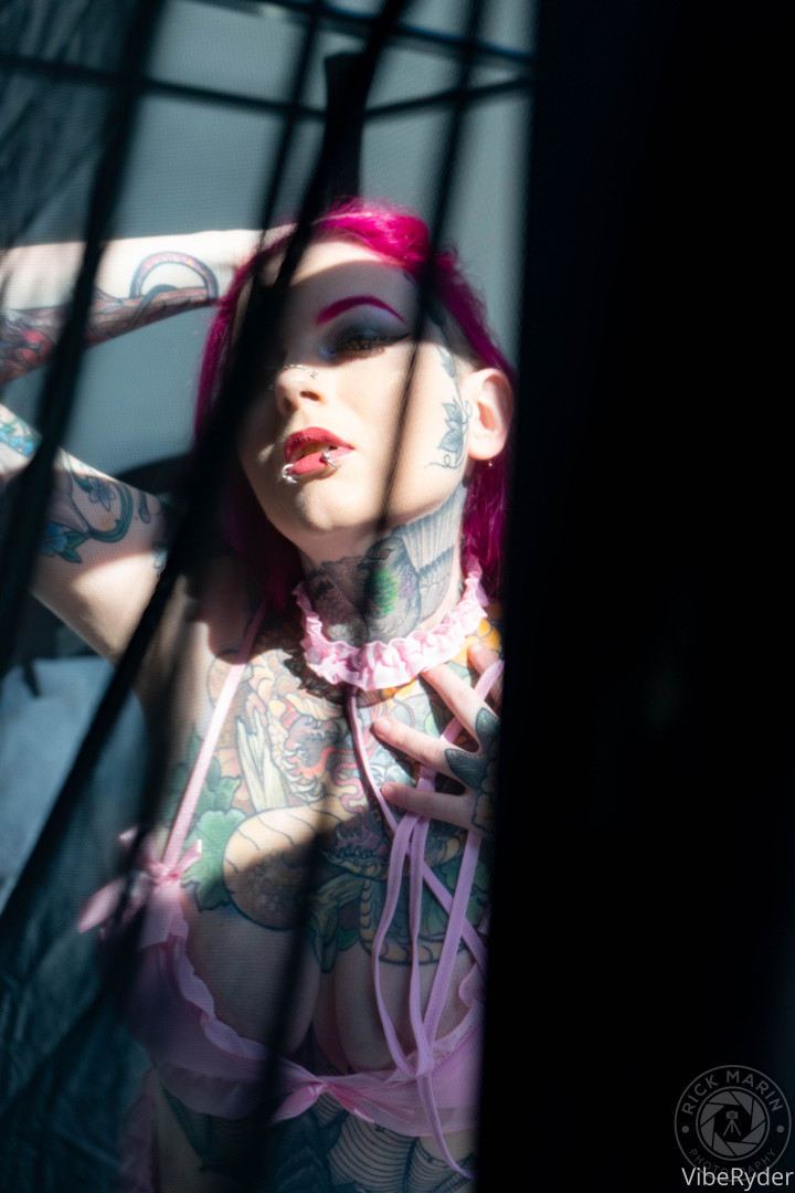 Photo by viberyder published on June 12,2023 09:24:03 - BestThots