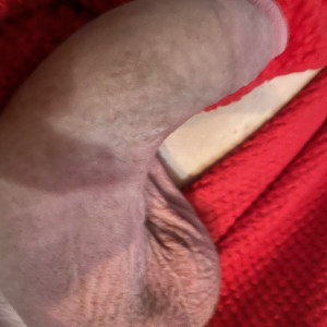 brookezanellxxx #8868565