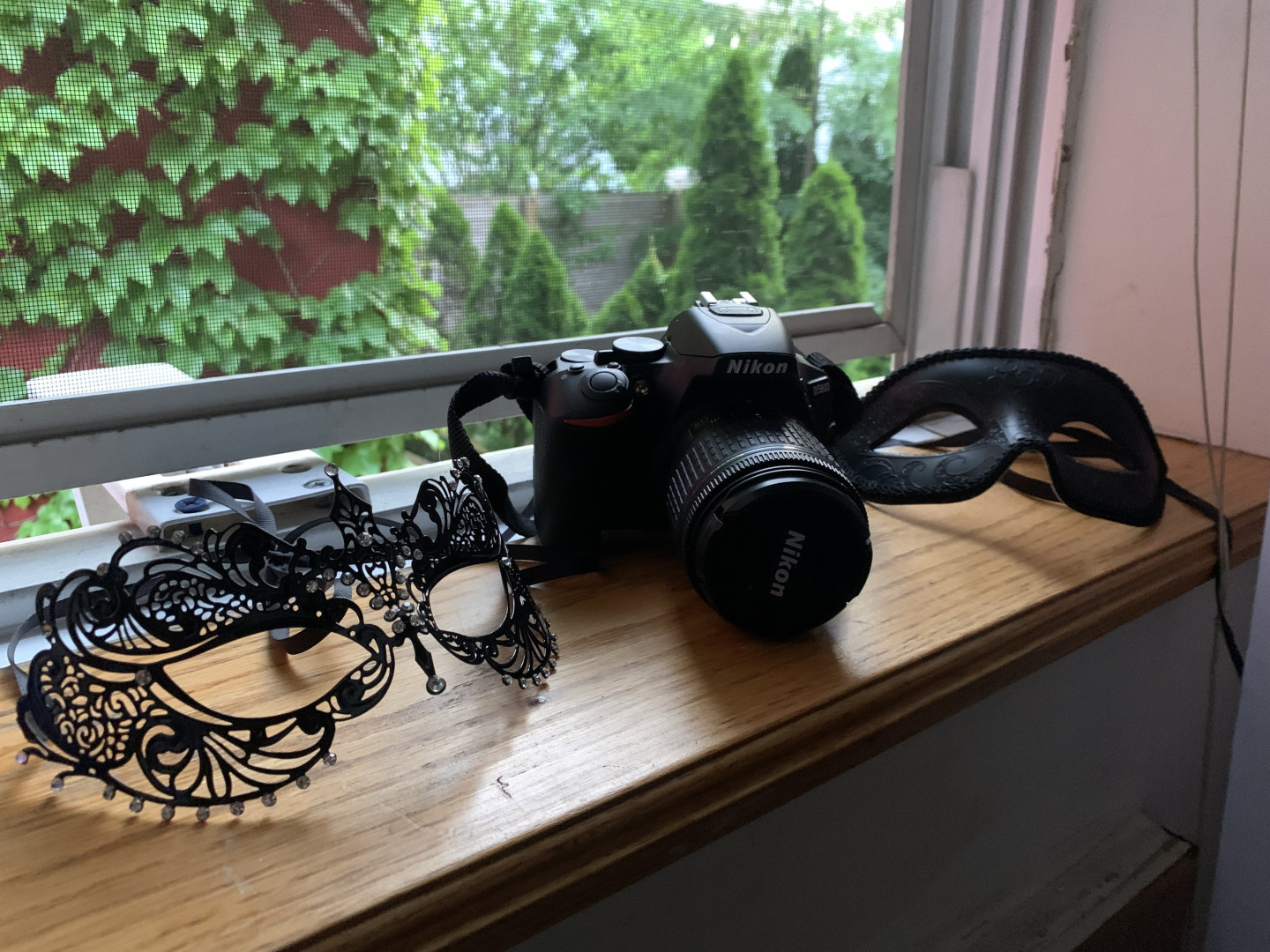 Photo by ernaburn published on October 16,2023 18:11:41 - BestThots