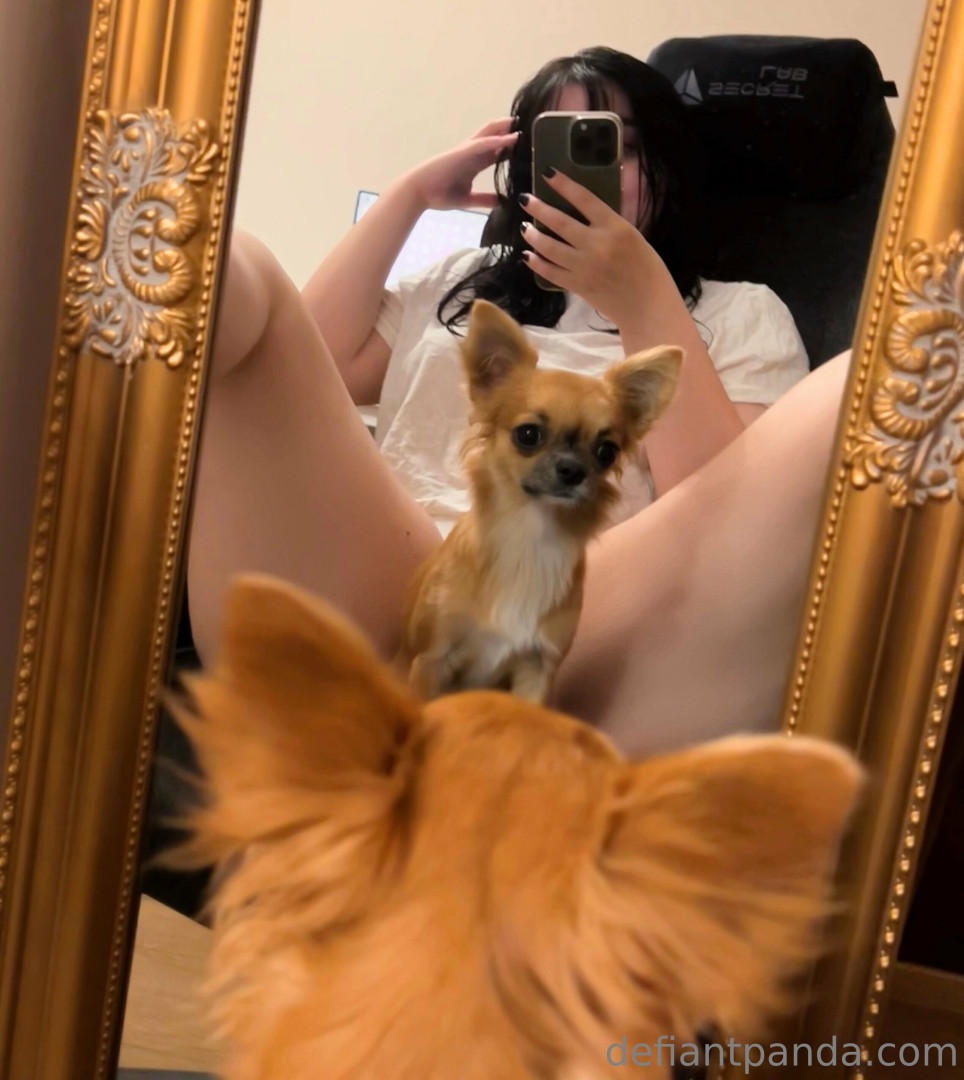 Photo by defiantpanda published on October 17,2023 04:28:07 - BestThots