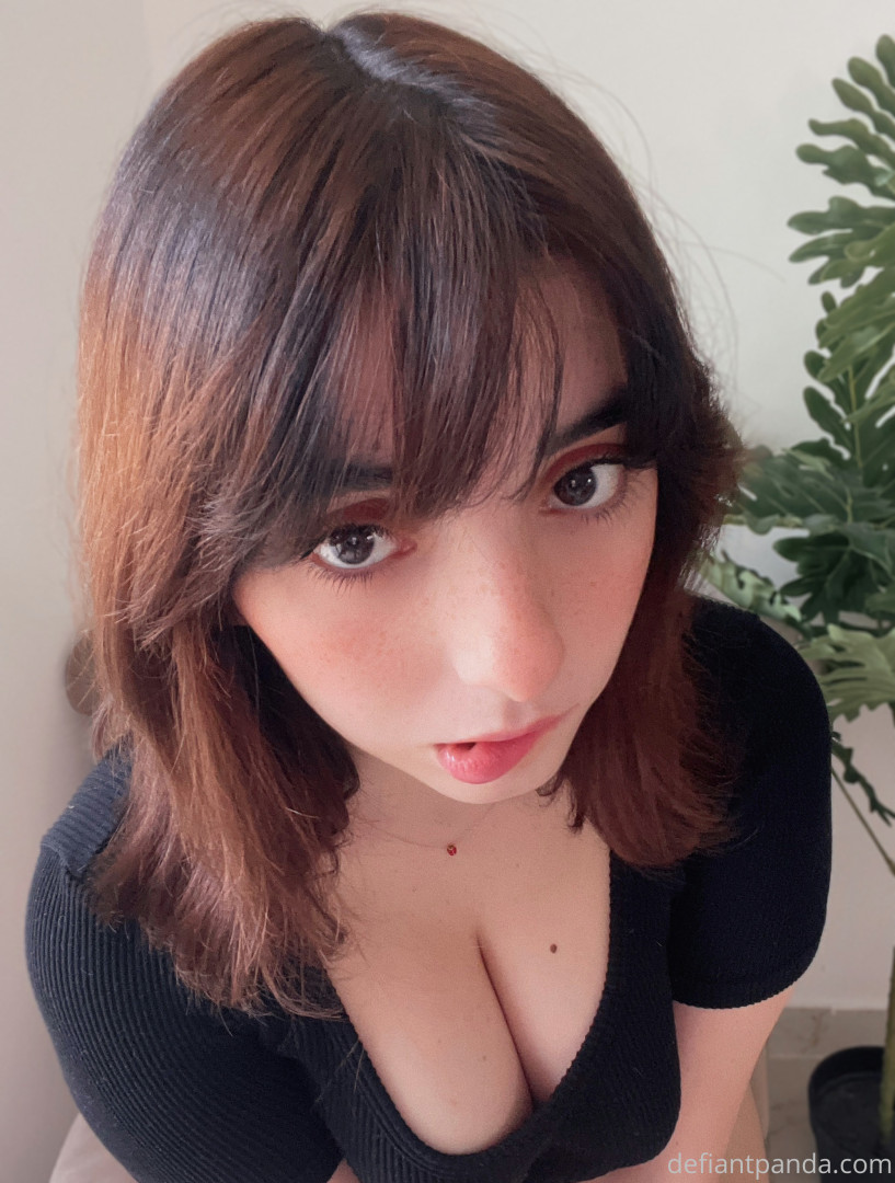 Photo by defiantpanda published on October 17,2023 04:45:12 - BestThots