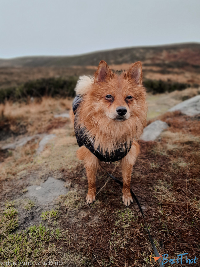 Photo by maebry published on December 13,2024 03:07:24 - BestThots