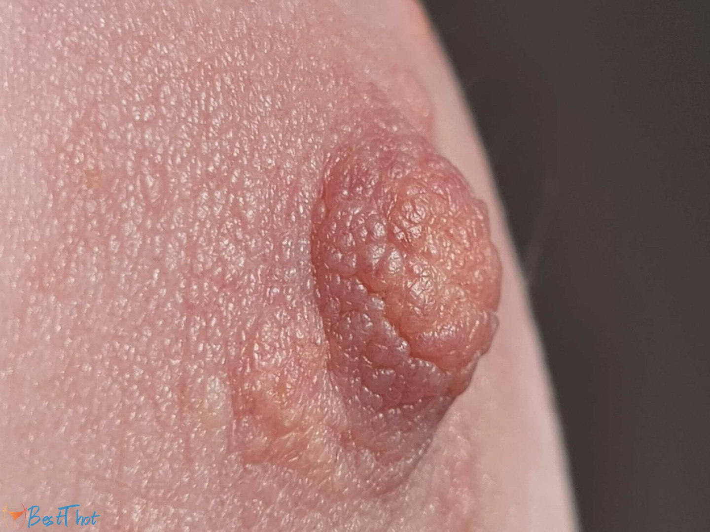 Photo by maebry published on December 13,2024 04:01:21 - BestThots