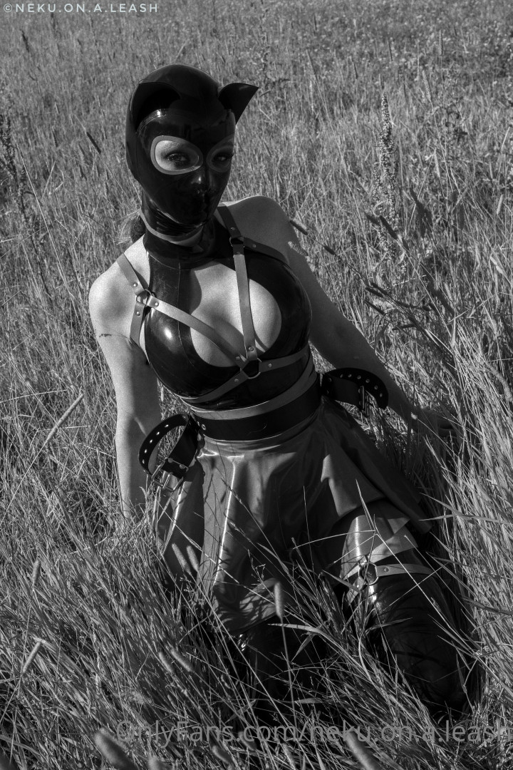 Photo by neku.on.a.leash published on June 15,2023 11:23:58 - BestThots