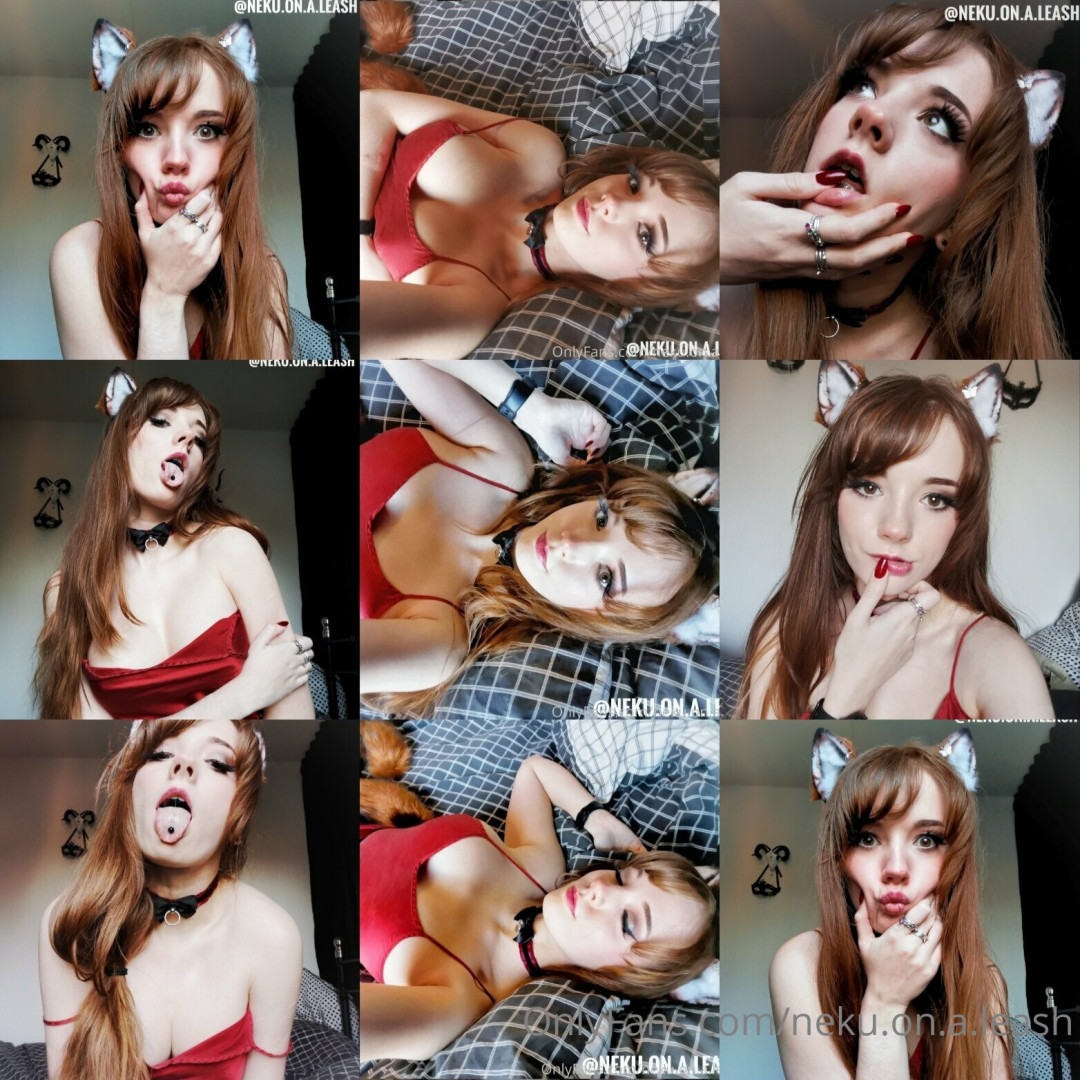 Photo by neku.on.a.leash published on June 15,2023 11:25:45 - BestThots