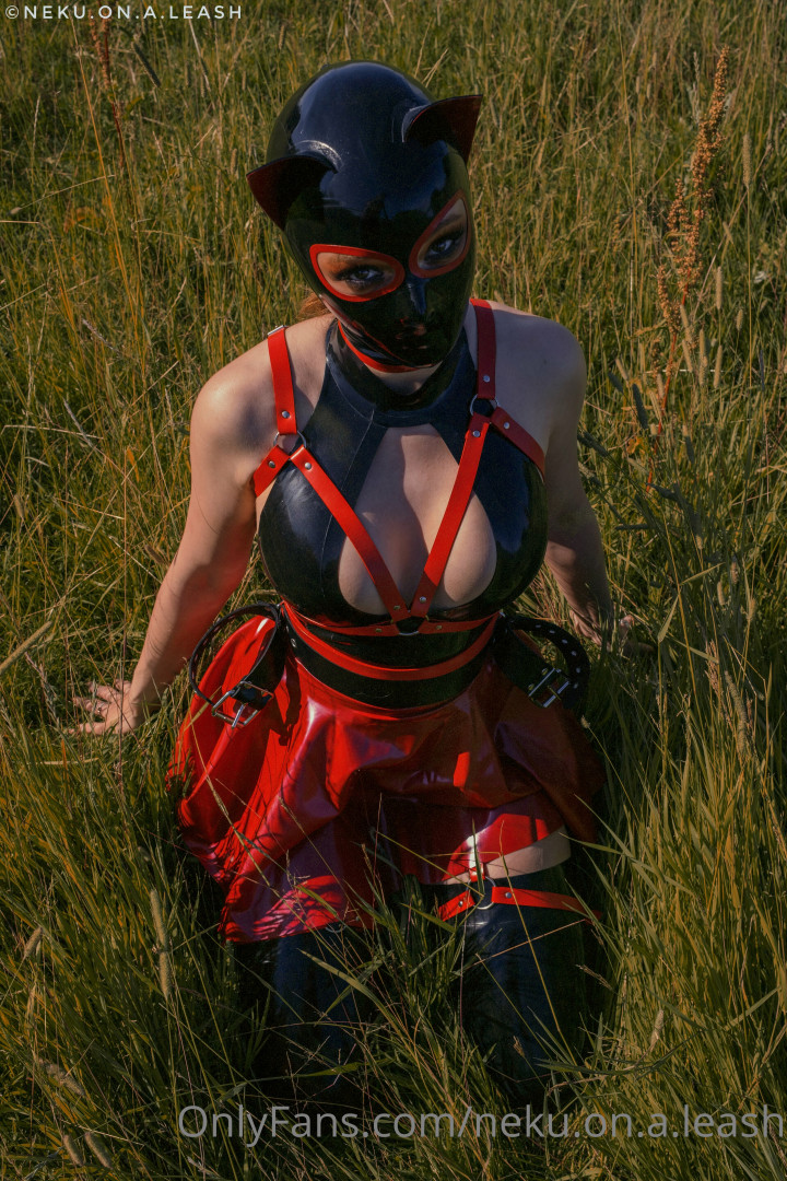 Photo by neku.on.a.leash published on June 15,2023 11:27:08 - BestThots