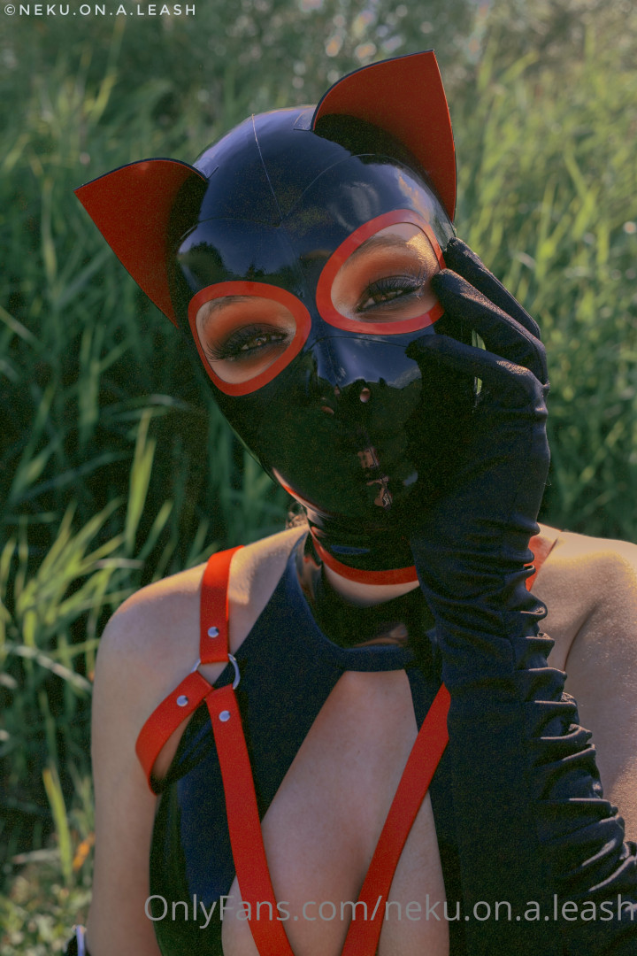 Photo by neku.on.a.leash published on June 15,2023 11:58:25 - BestThots
