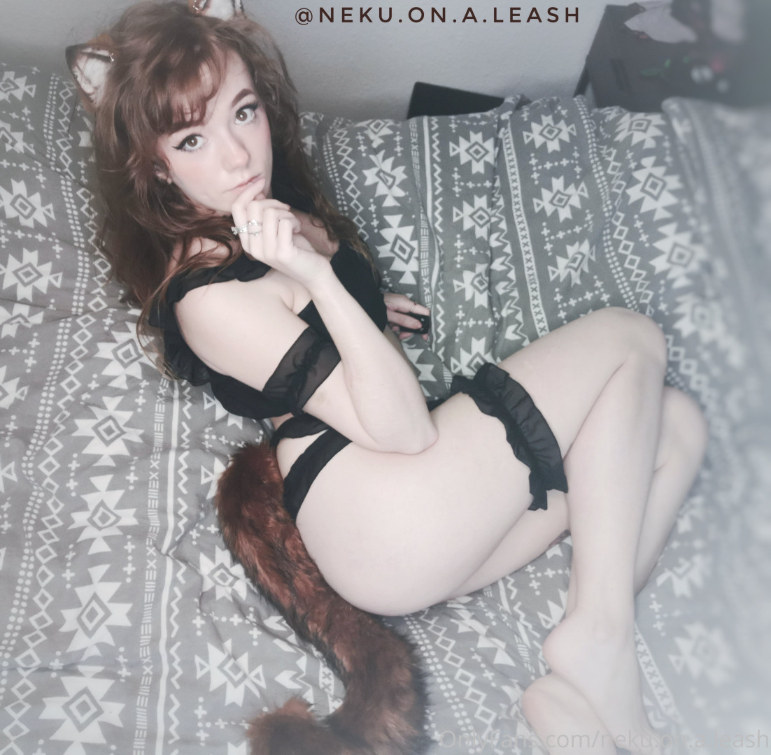 Photo by neku.on.a.leash published on June 15,2023 12:04:01 - BestThots