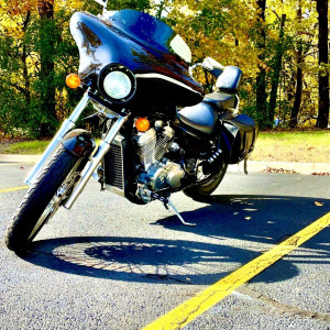 straightbear90 #165530