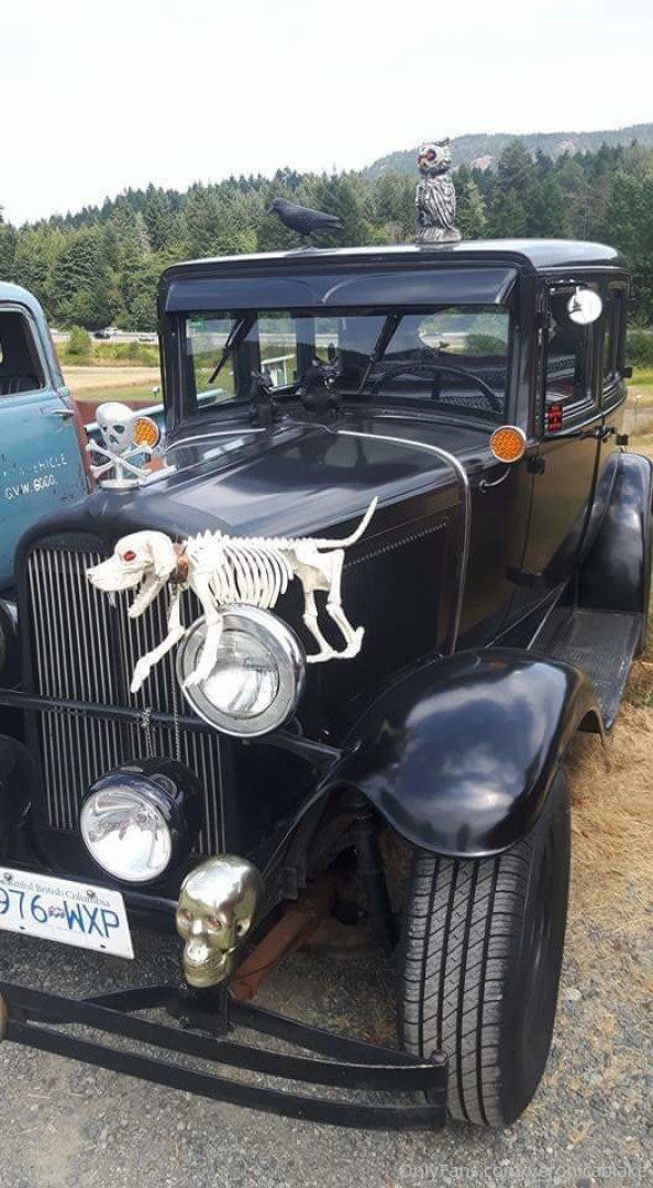 Photo by veronicablake published on May 16,2023 05:59:52 - BestThots