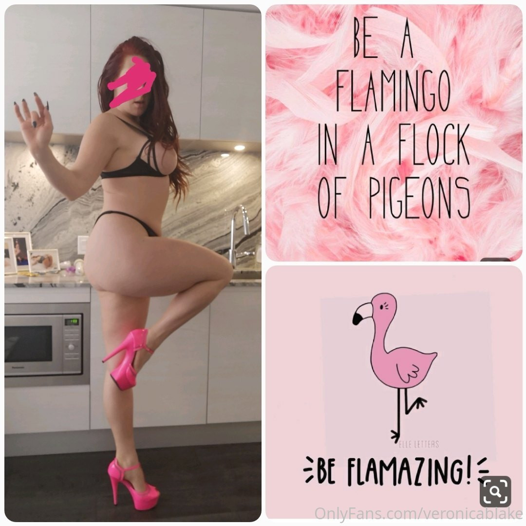 Photo by veronicablake published on May 16,2023 06:03:57 - BestThots