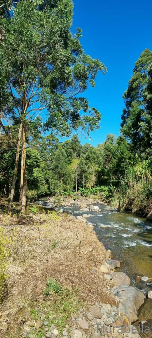 Photo by florabella published on September 1,2023 09:52:32 - BestThots