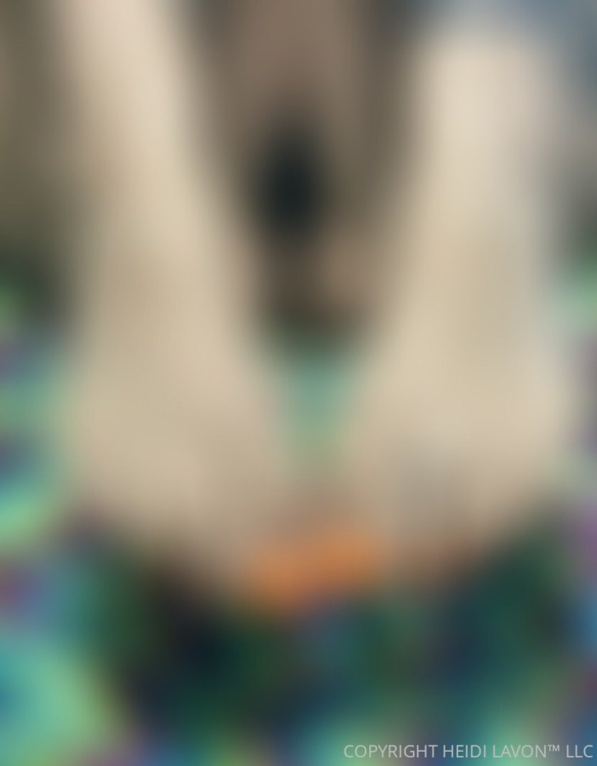 Photo by heidilavonfree published on July 28,2023 21:27:16 - BestThots