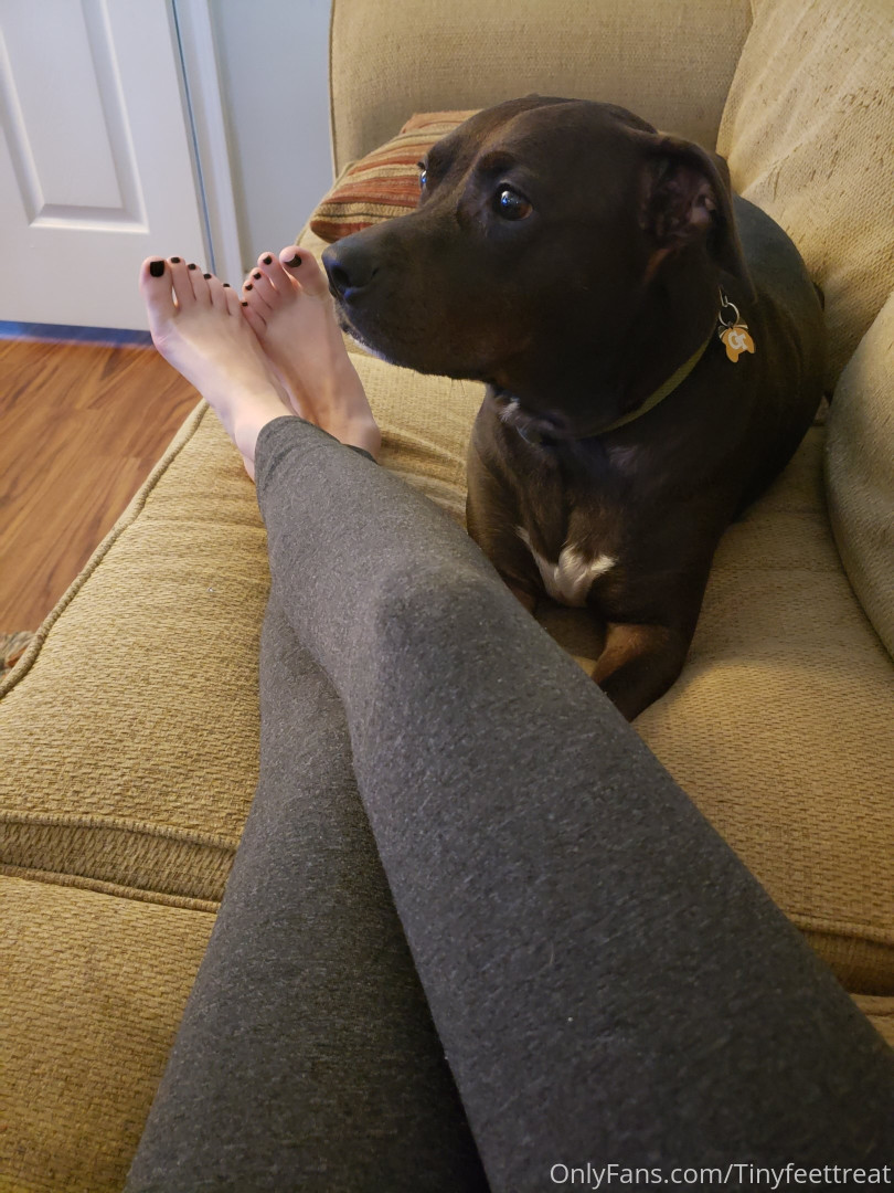 Photo by tinyfeettreat published on June 12,2023 20:04:29 - BestThots