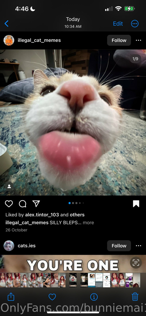 Photo by bunniemai1591 published on August 31,2023 10:21:19 - BestThots