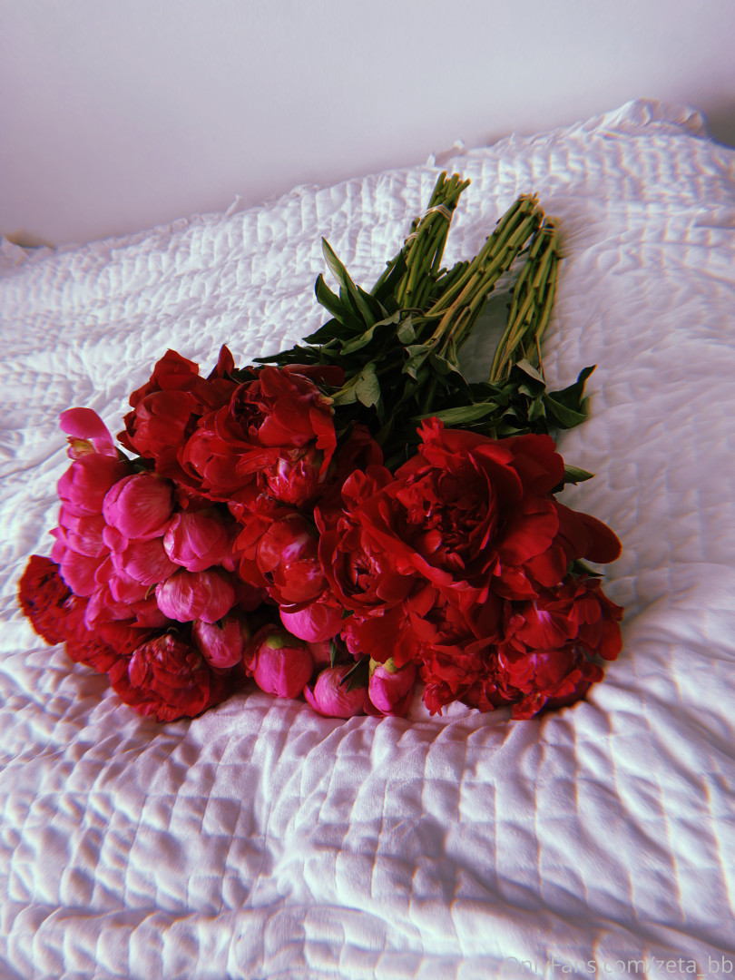 Photo by zeta_bb published on August 9,2023 06:47:01 - BestThots