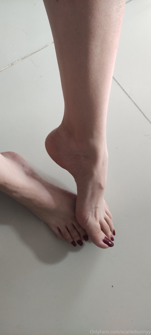 Photo by scarletbunnyy published on October 16,2023 03:12:15 - BestThots