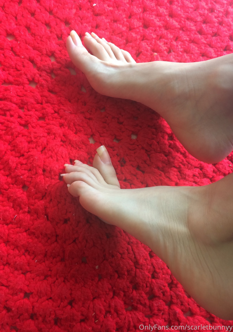 Photo by scarletbunnyy published on October 16,2023 04:48:23 - BestThots