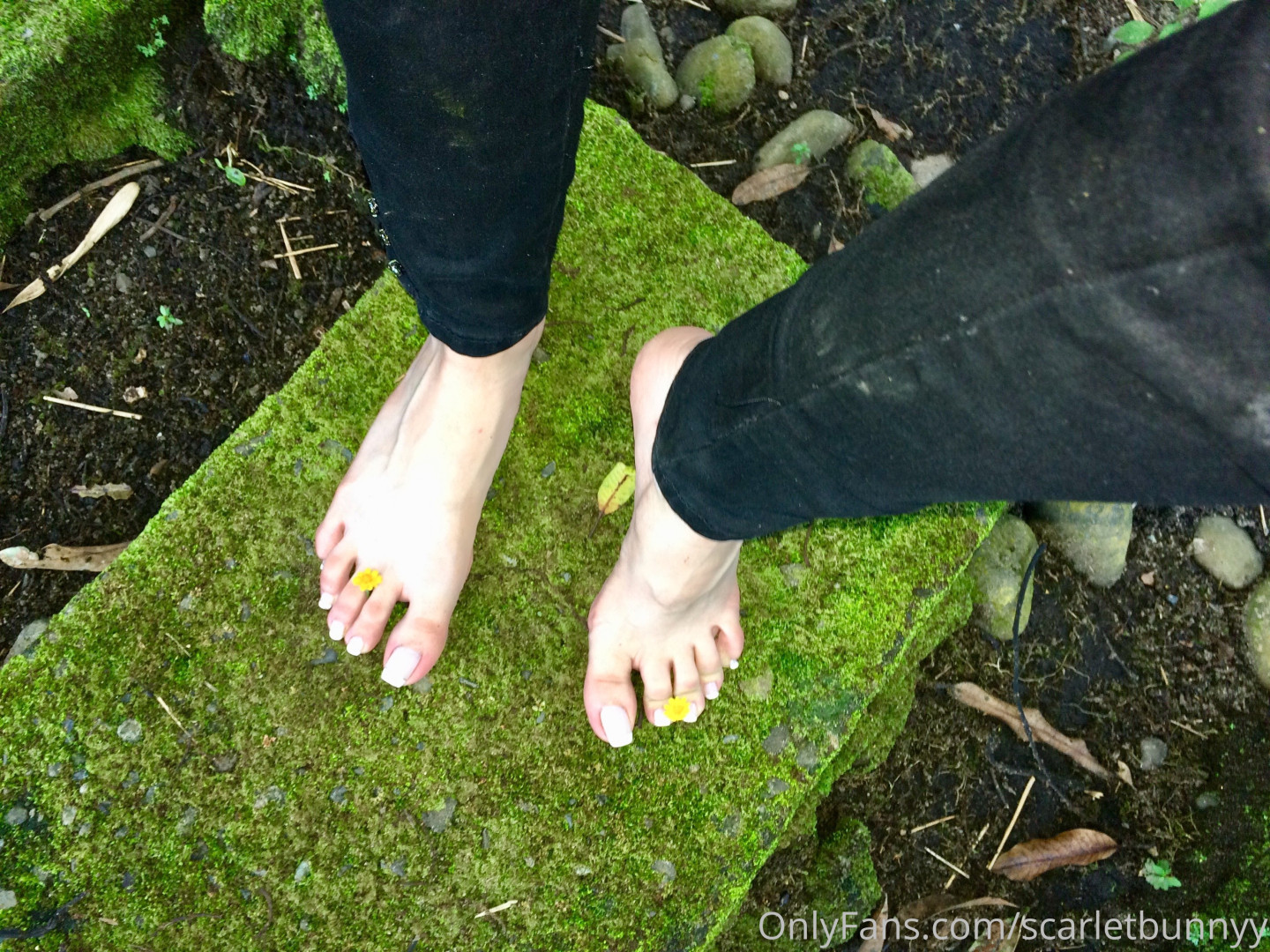 Photo by scarletbunnyy published on October 16,2023 04:50:32 - BestThots