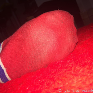 scarletbunnyy #6867900