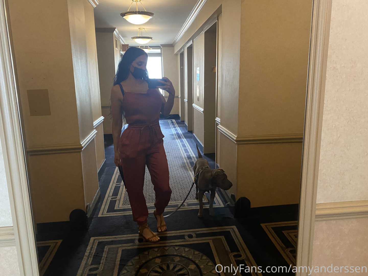Photo by amyanderssen published on November 21,2023 20:37:49 - BestThots